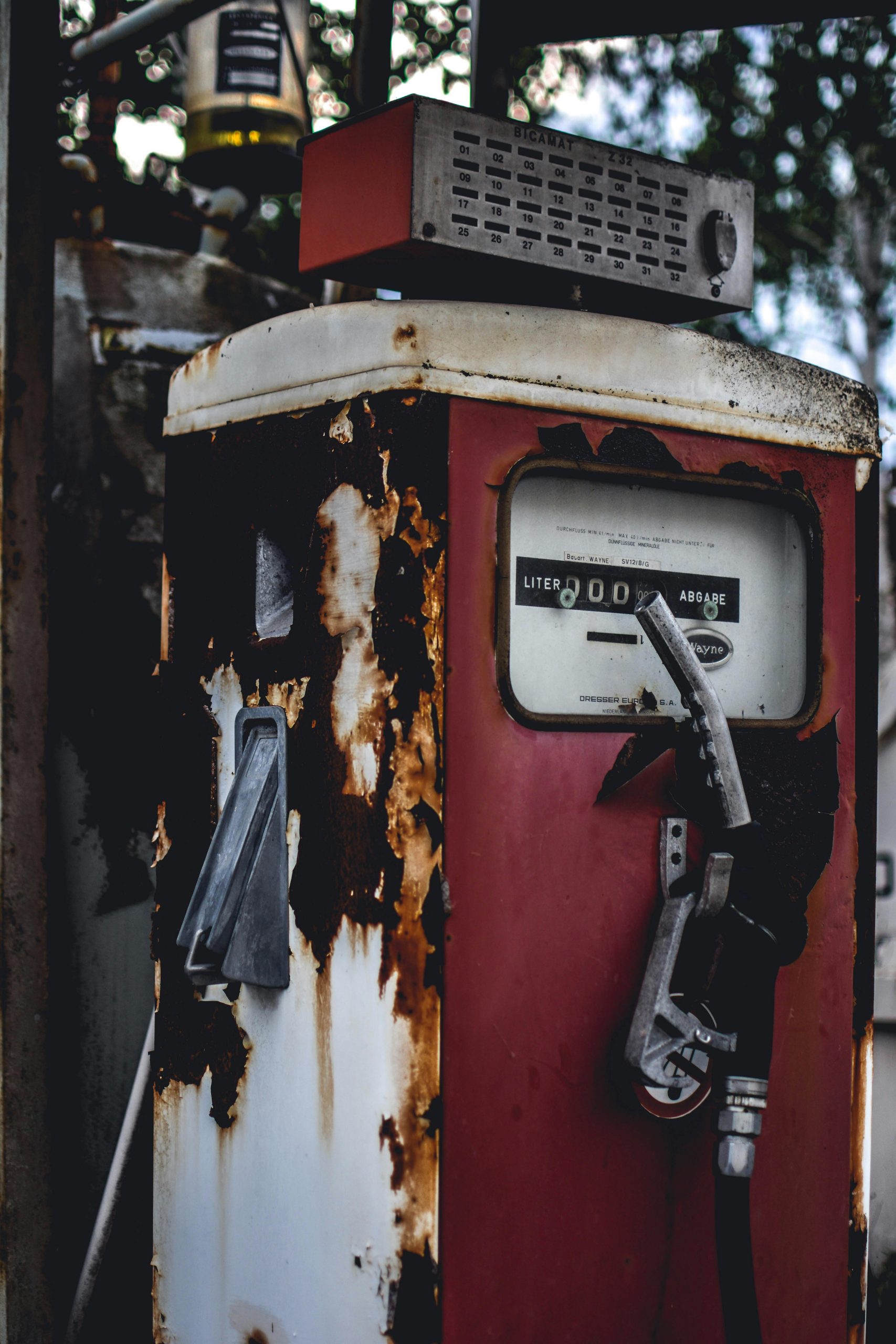 pexels-photo-1172100